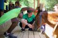 ben, horses, pet, Summer, June 3, 2022